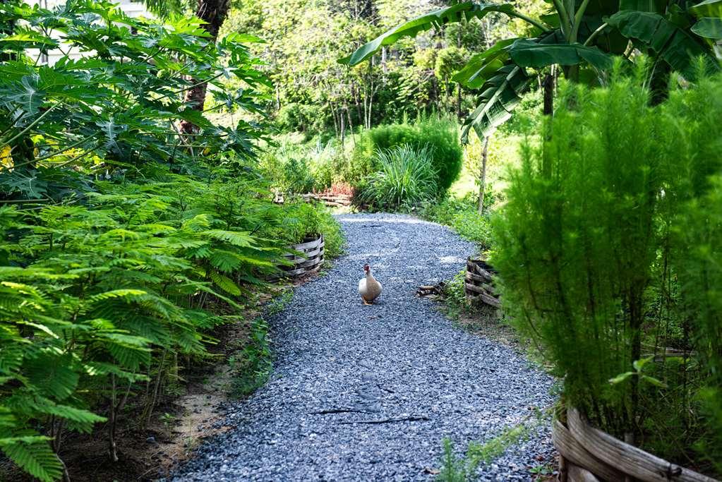 Anantara Koh Yao Yai Resort Pangnga Kültér fotó